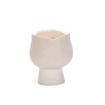 C006