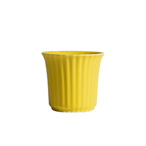C055
